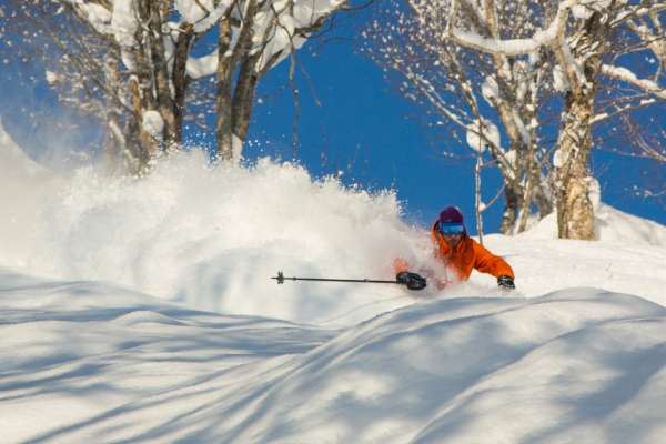 Tree Skiing Niseko